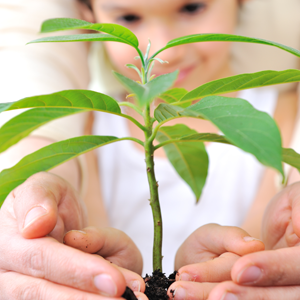 Father and son plant a tree